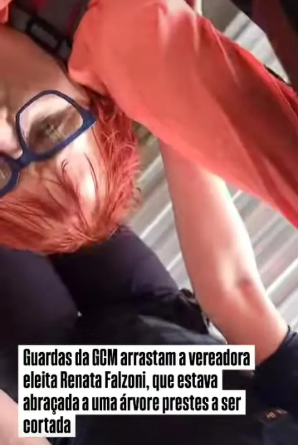 Vereadora é detida durante protesto contra derrubada de árvores em São Paulo