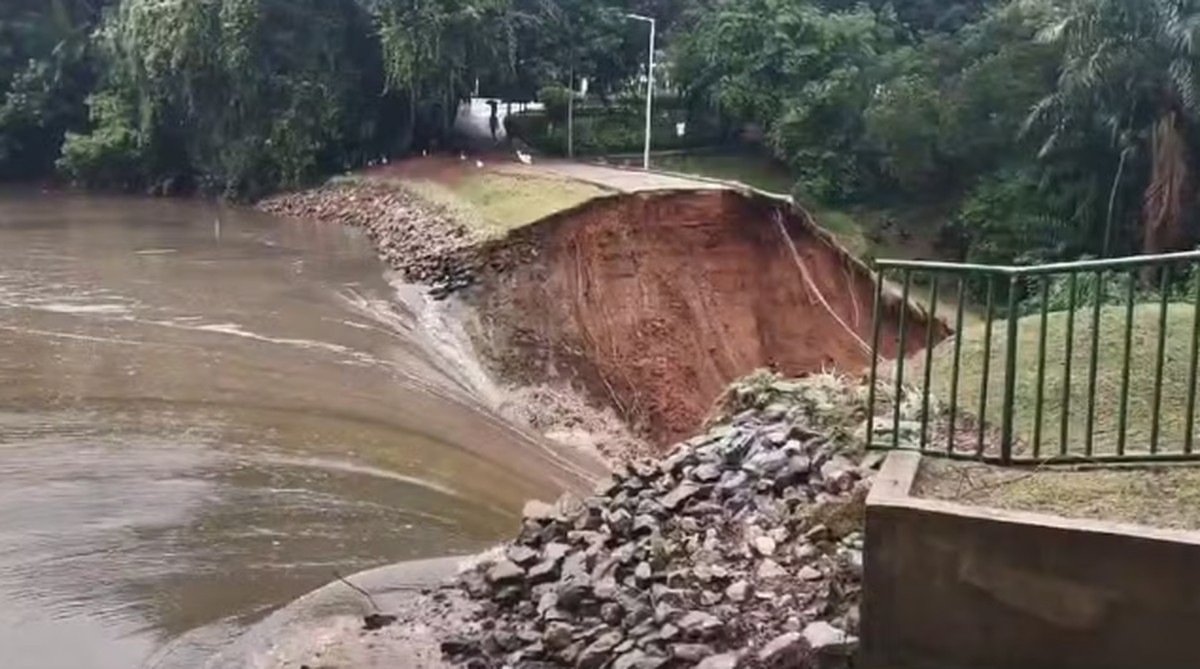 Equipes resgatam ao menos 500 animais afetados por rompimento de barragem em BH | Belo Horizonte