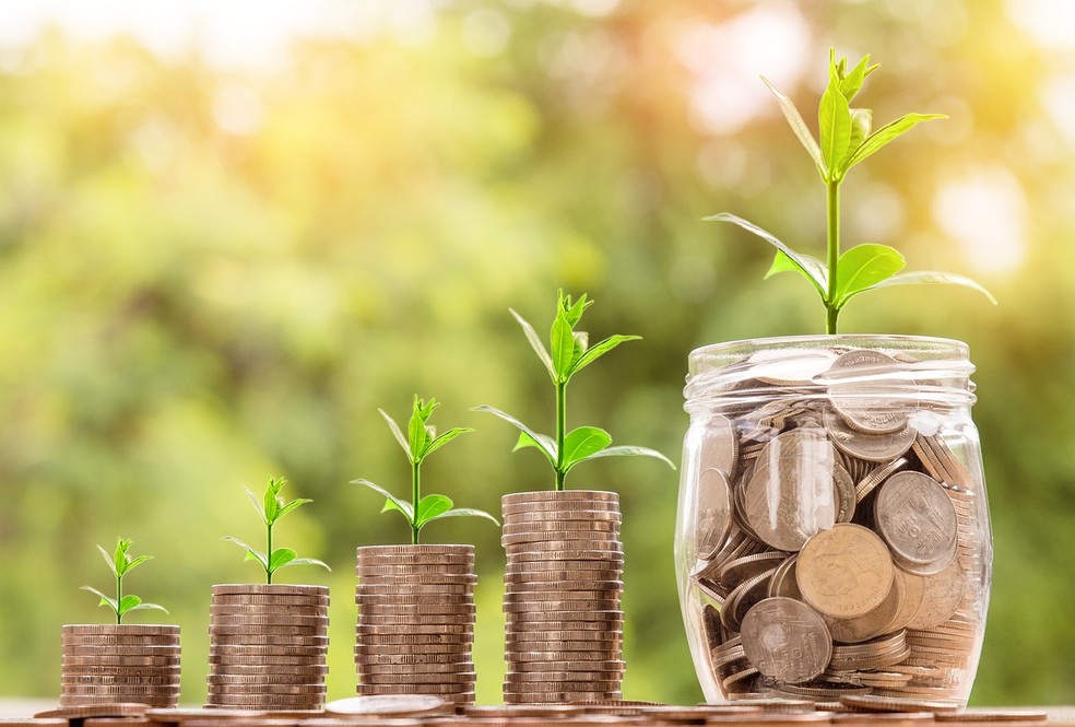 Banco da Amazônia faz acordo com BID Invest para aprimorar divulgação de riscos relacionados à natureza | Finanças