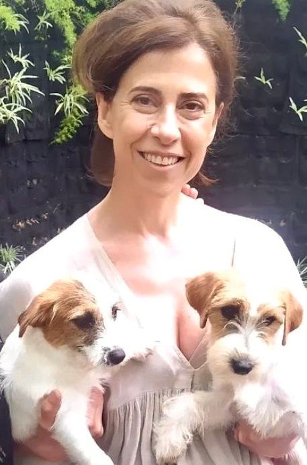 Conheça os cachorrinhos que fazem cão Pimpão em 'Ainda Estou Aqui' | Cultura