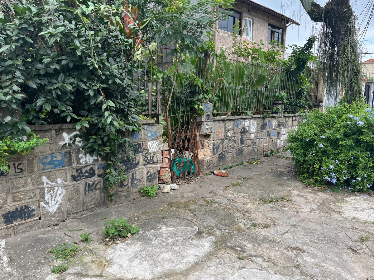 Polícia investiga denúncia de morte de gatos por envenenamento na Ilha do Governador (SP) | Rio de Janeiro