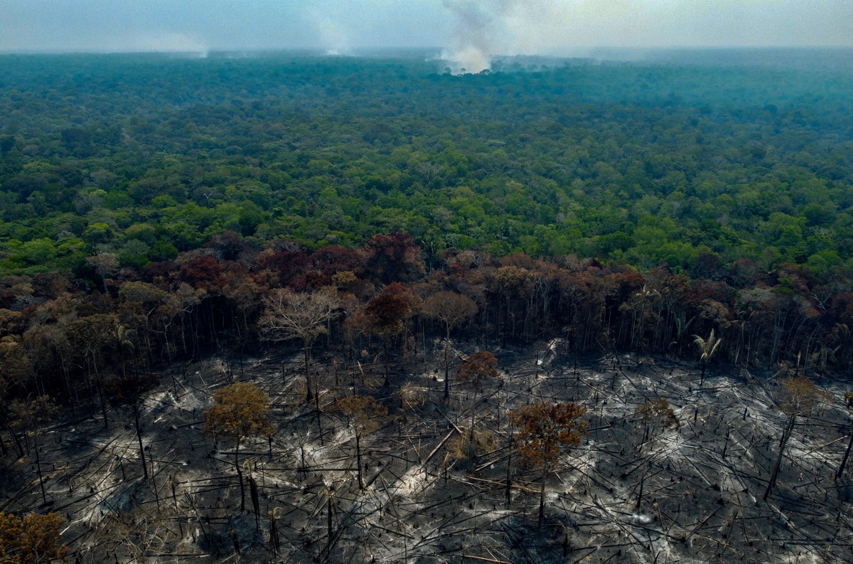 Área queimada no Brasil até novembro quase dobrou em relação ao mesmo período de 2023 | Brasil