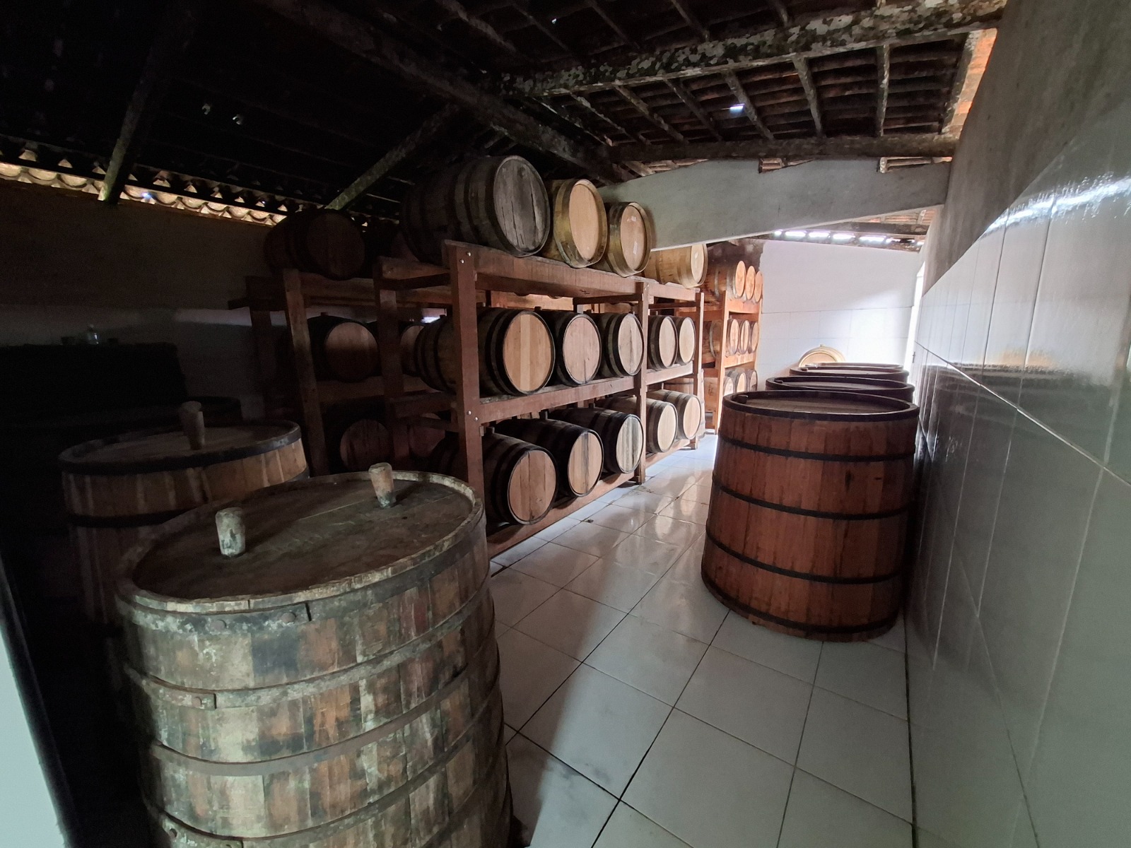 Com apoio do Impulsiona Ceará, APL de Cachaça de Viçosa do Ceará forma comitê gestor