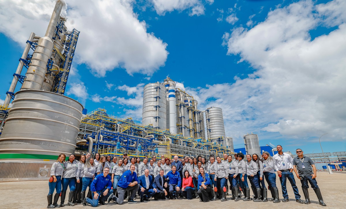 Suzano inaugura Projeto Cerrado e prevê plantar 200 mil hectares de eucalipto este ano | Empresas