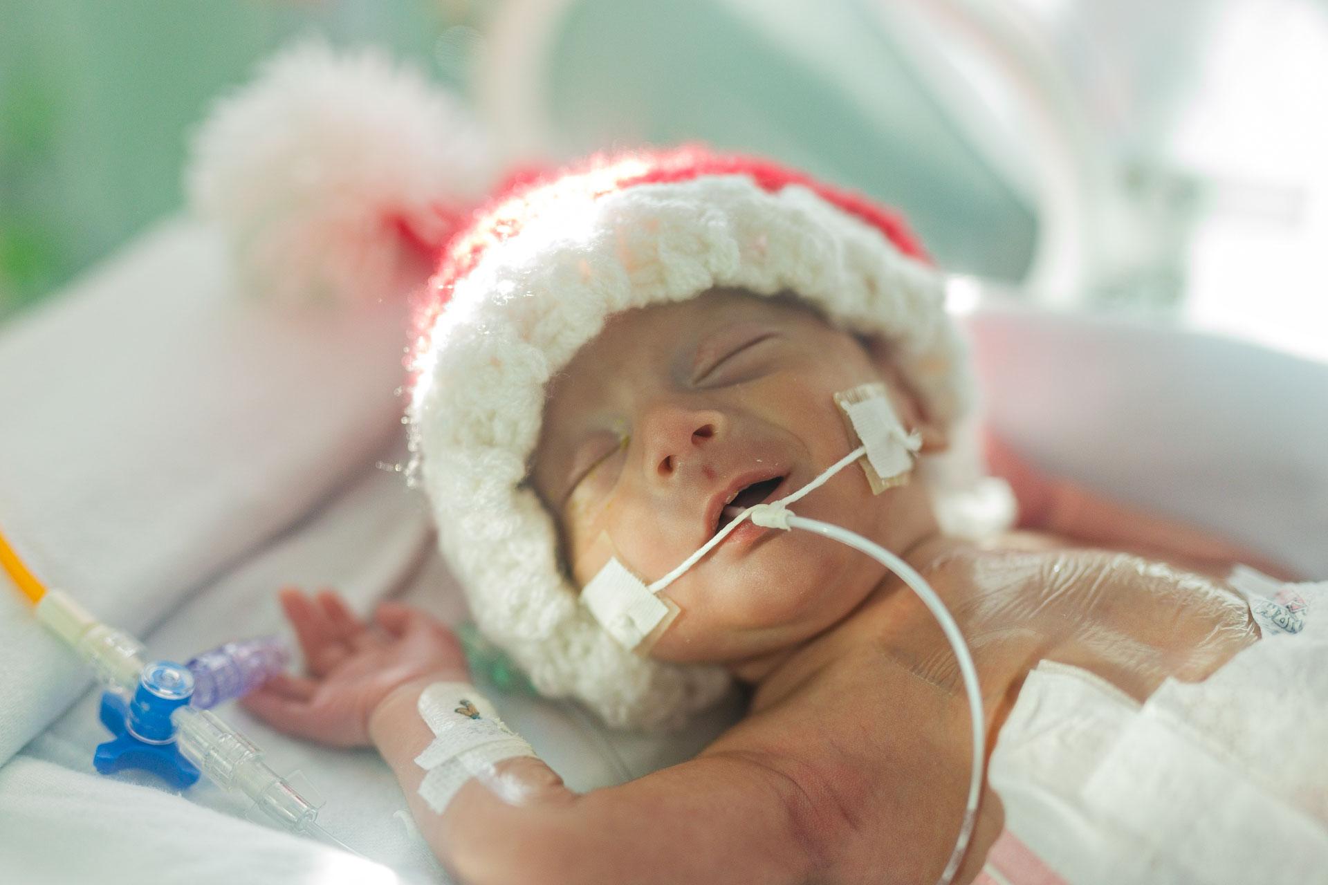 Bebês internados em UTI neonatal, em Fortaleza, encantam em ensaio especial de Natal; veja fotos - Ceará