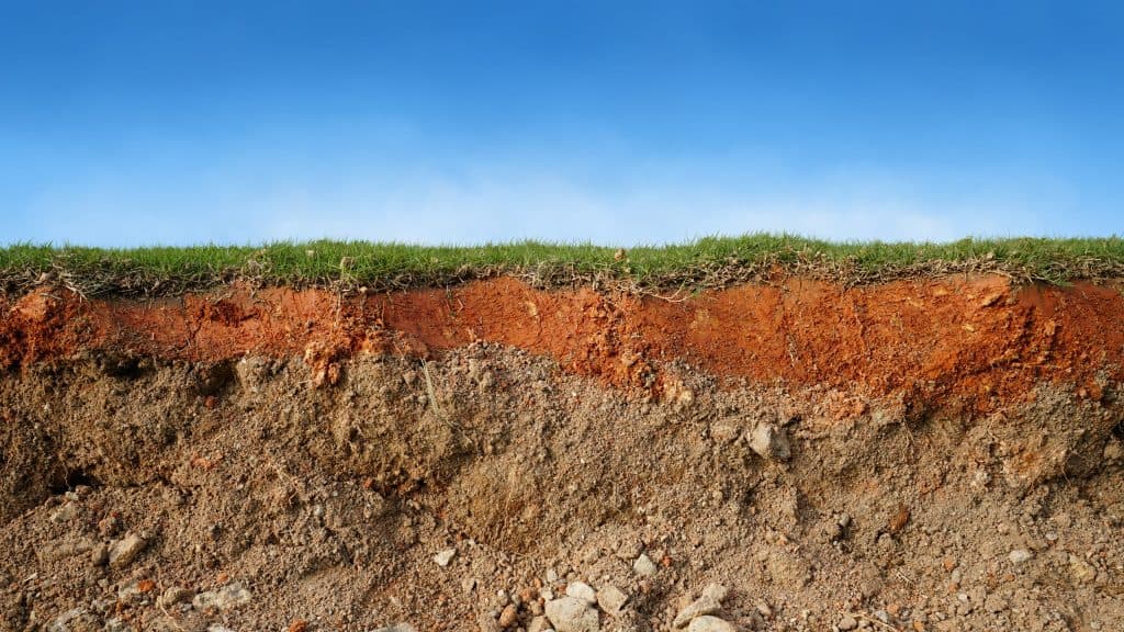 Conheça organismos que moram nos confins da crosta da Terra
