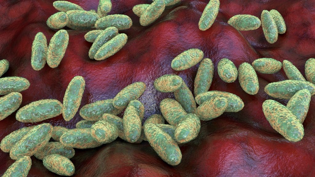 DNA da Peste Negra encontrado em múmia egípcia de 3.300 anos