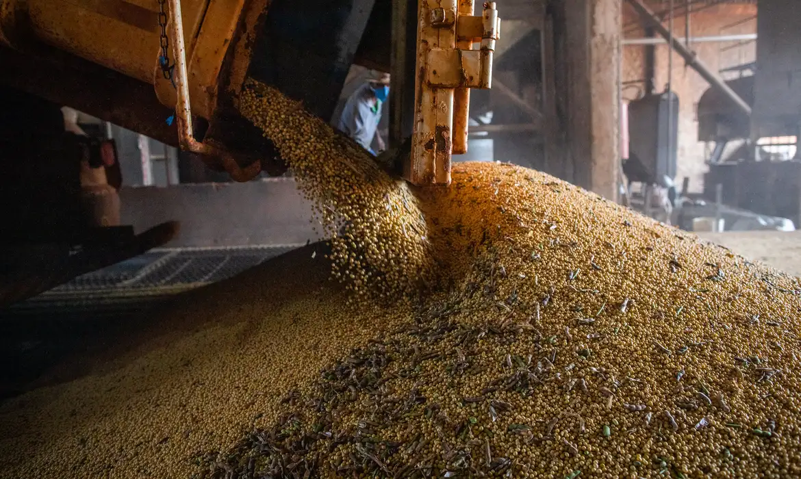 Em menos de quatro décadas, área destinada à soja cresce nove vezes