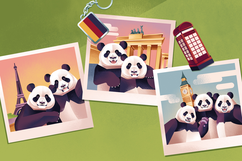 Entenda o que é a “diplomacia dos pandas”
