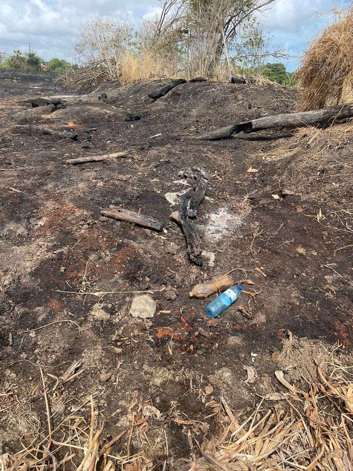 Parque do Cocó: com dois incêndios em três dias, causas e área atingida ainda não foram definidas - Ceará