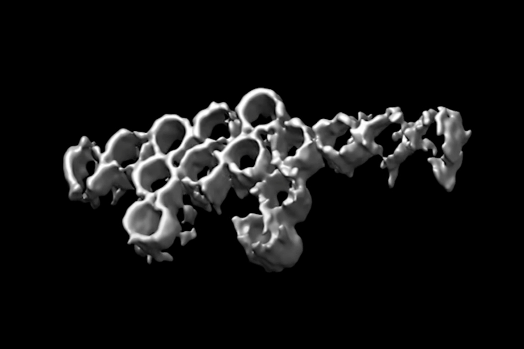 Pesquisadores transformam moléculas de DNA em Leg...