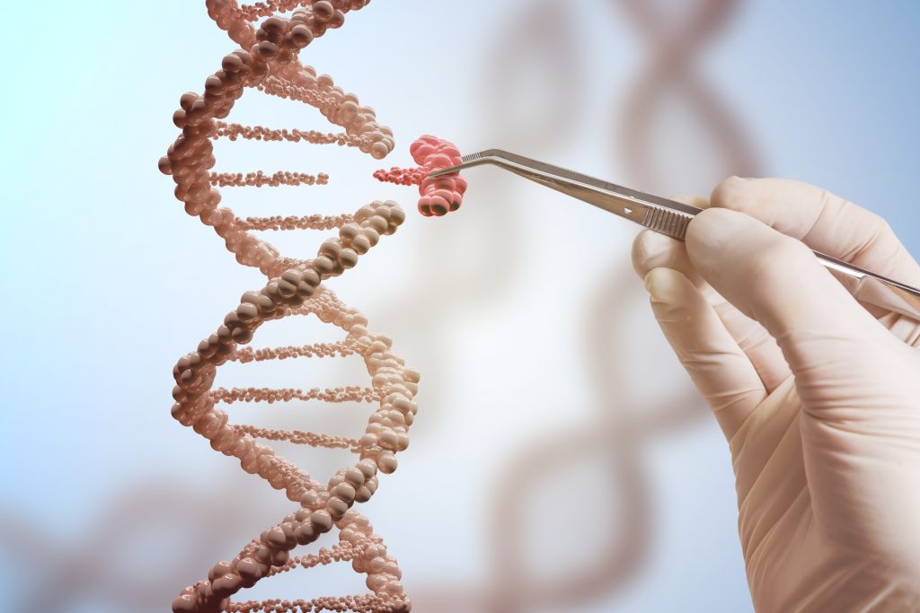 Terapia genética quebra cromossomo e impede avanço de câncer