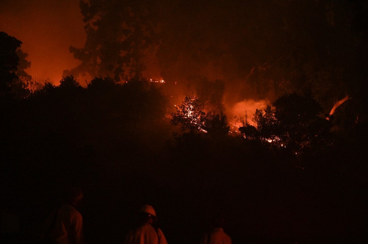 Entenda como Hollywood e a temporada de prêmios são afetadas por incêndios em Los Angeles | Mundo