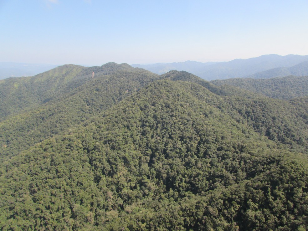 Lula sanciona lei que altera limites do Parque Nacional da Serra do Itajaí | Brasil