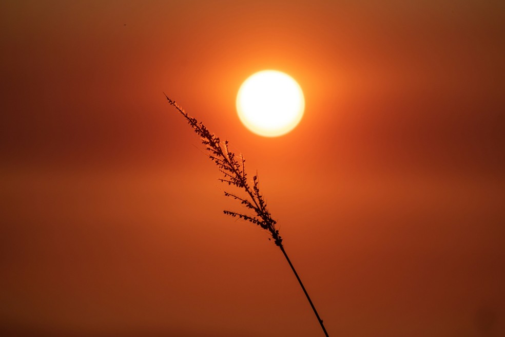 Fevereiro começa com onda de calor e mais de 40ºC | Brasil