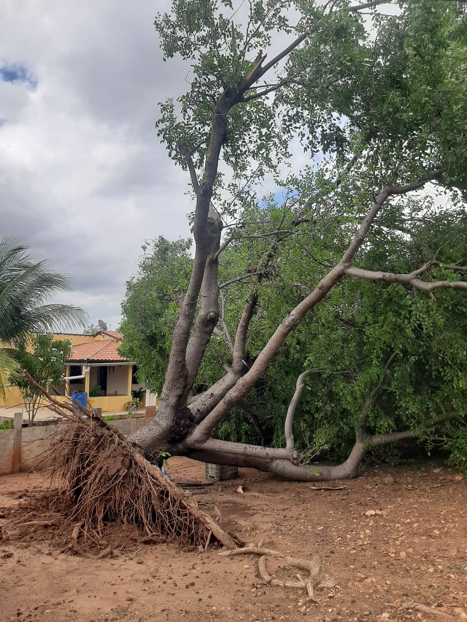 CHUVA COM VENTANIA DEIXA RASTROS DE DESTRUIÇÃO NA ZONA RURAL DE CRATEÚS – Blog Tony Sales