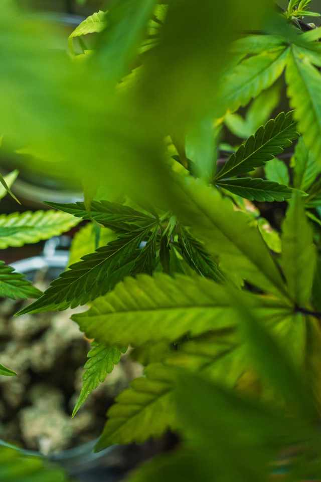 Justiça nega maioria dos pedidos de gratuidade