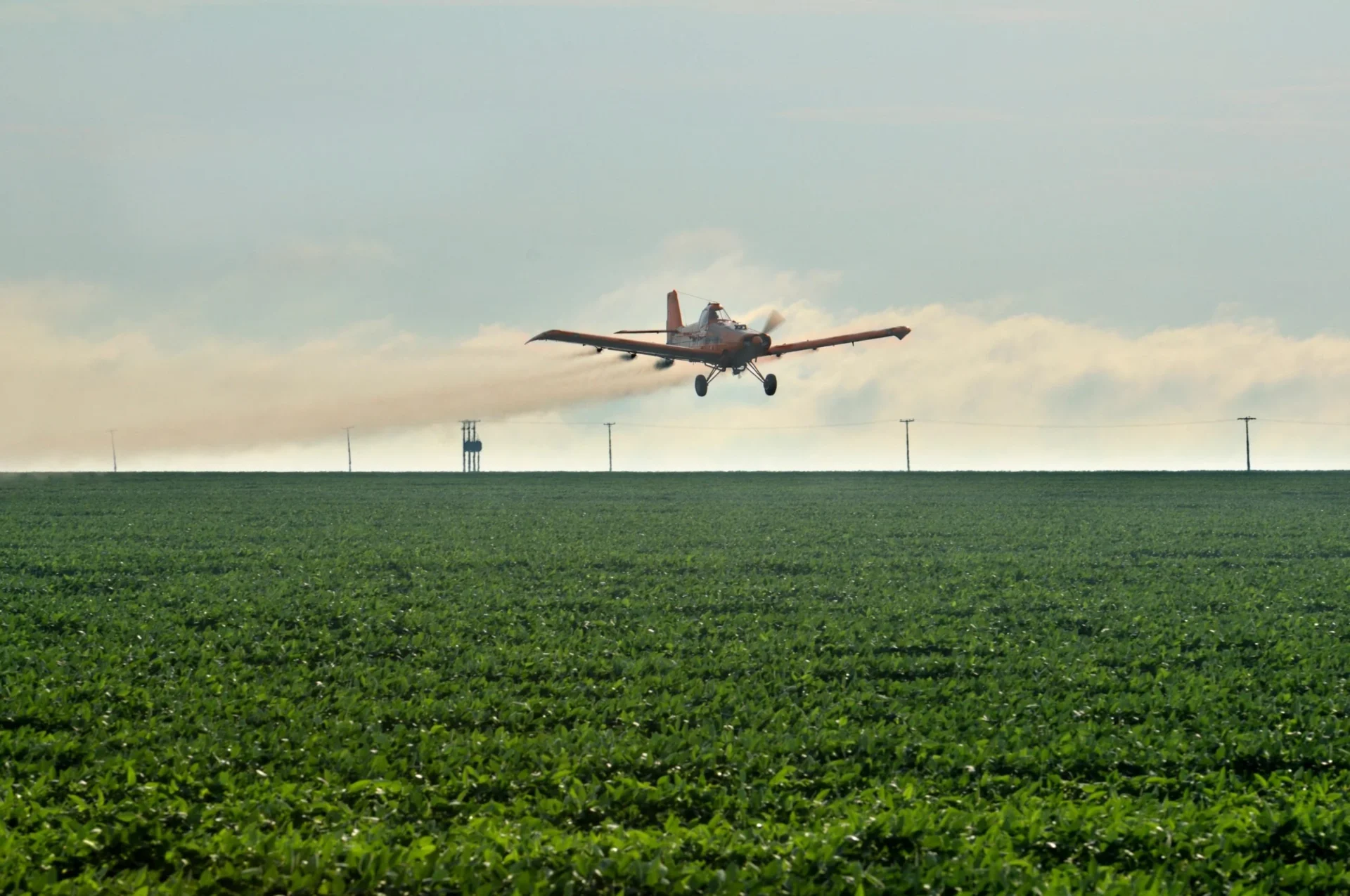 Liberação de agrotóxicos e defensivos biológicos bate recorde em 2024