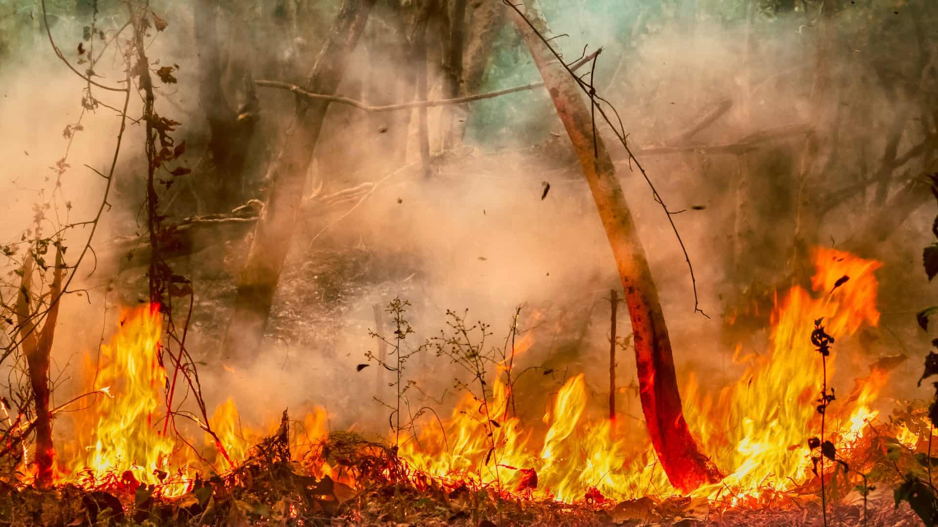 Queima de restos de madeira piora qualidade do ar na Amazônia