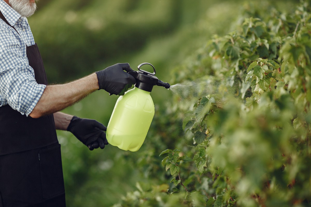 Liberação de agrotóxicos no Brasil bate recorde em 2024, com 663 novos produtos | Brasil