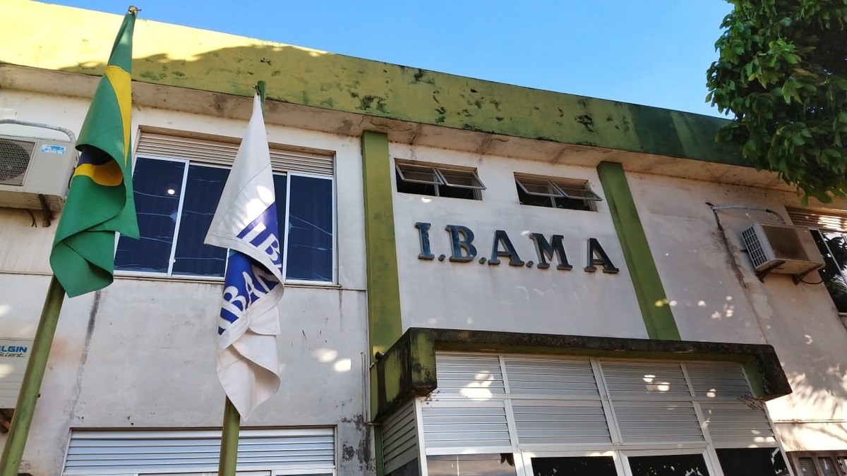 Ibama abre inscrições para 460 vagas em concurso; salário parte de R$ 9,9 mil | Concursos públicos