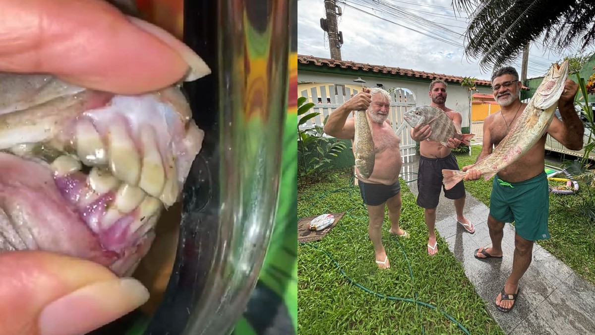 Sorriso humano? Peixe com dentes peculiares vira sensação em almoço de família no ES e nas redes sociais | Brasil