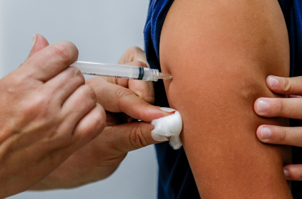 Butantan inicia processo de produção da vacina contra a dengue mesmo sem aprovação da Anvisa | Brasil