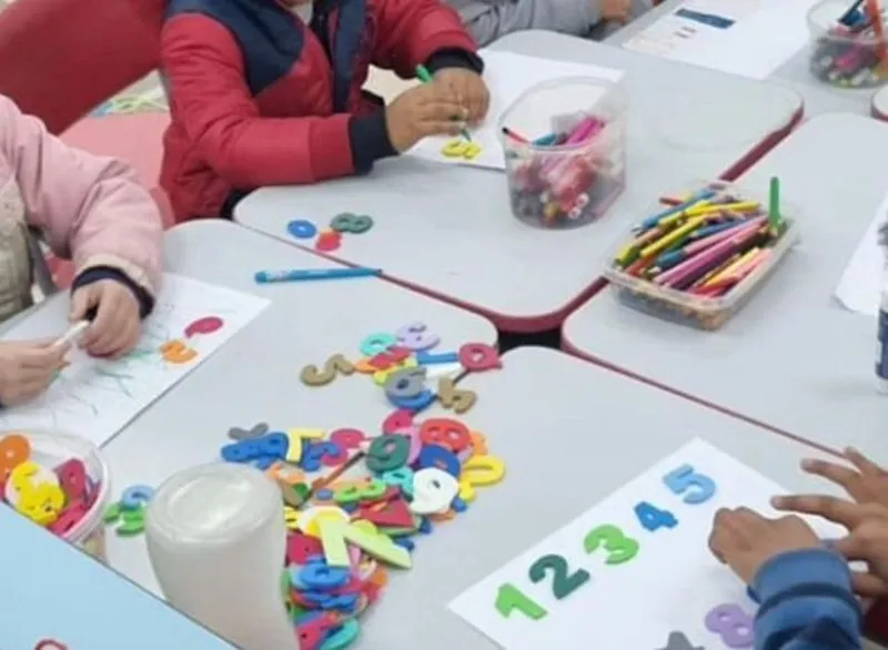 A educação face ao alarme ecológico