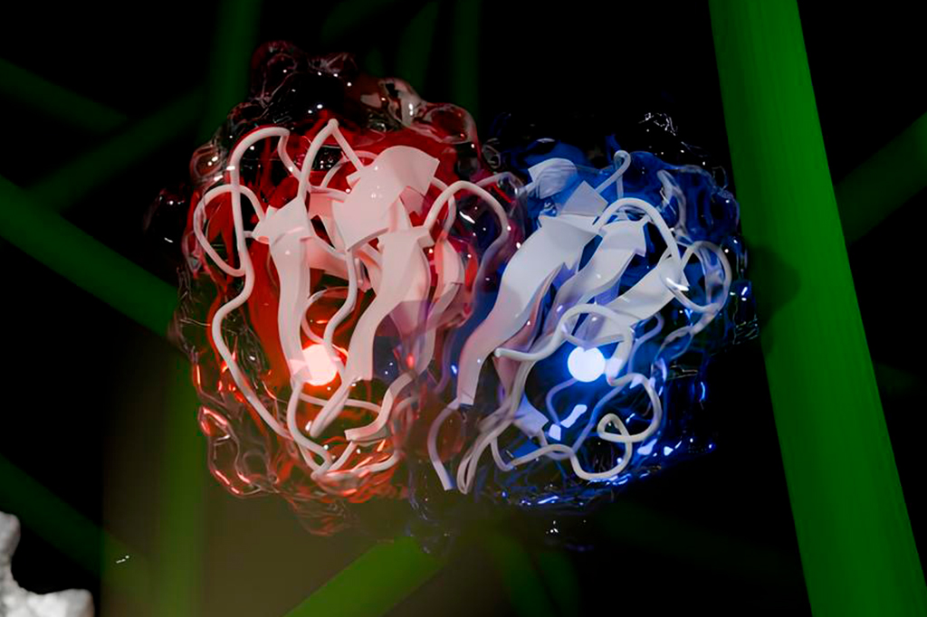 Cientistas brasileiros descobriram enzima que pod...