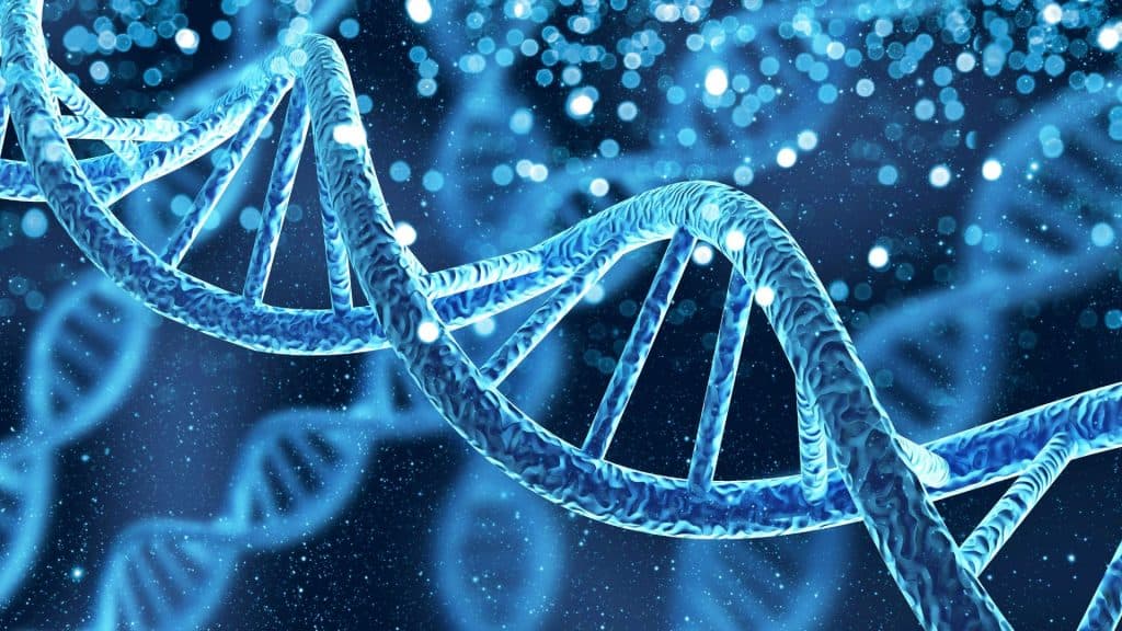 Como o teste de DNA funciona e comprova a paternidade?