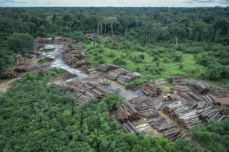 Fronteira agrícola do Matopiba concentra 82% do desmatamento do Cerrado em 2024
