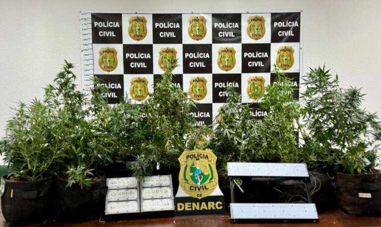 PCCE desativa laboratório de drogas e prende homem na Capital