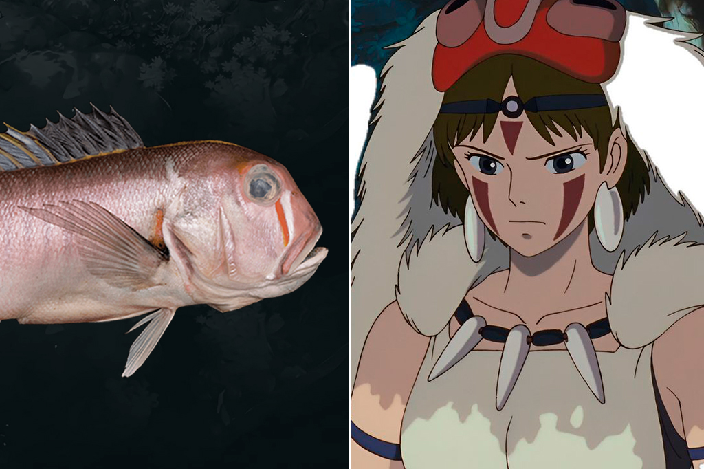 Peixe com listras no rosto é nomeado em homenagem...