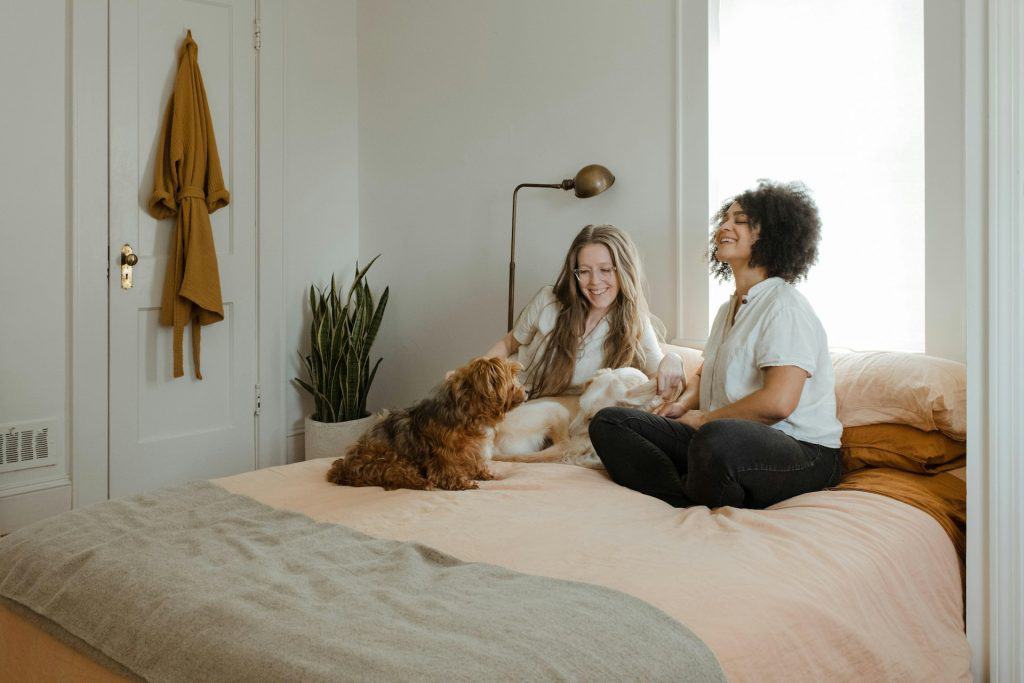 Sabia que a sua cama pode ser o lugar mais nojento da casa? Entenda