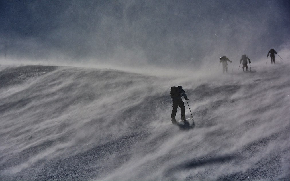 Bifo: Para sobreviver à avalanche