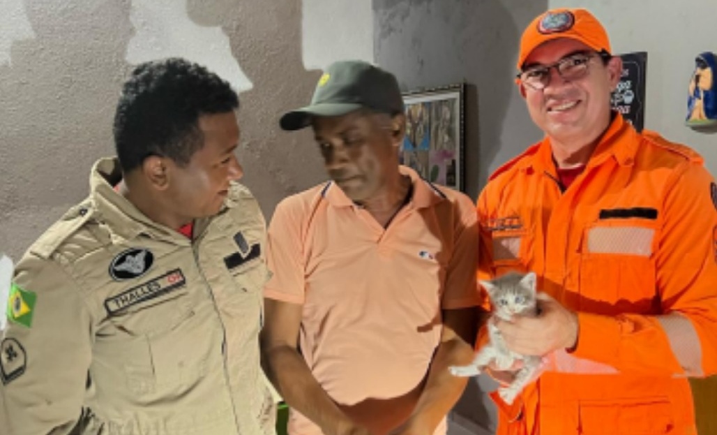CBMCE resgata filhote de gato preso em telhado no município de Crateús
