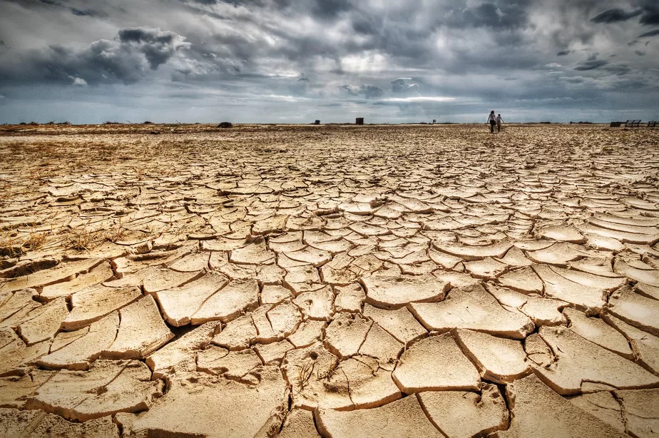 Combate à desertificação: O Brasil avança a passos lentos