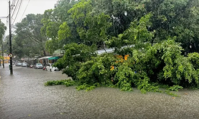 chuva dá trégua ao NE e sol aparece na maior parte do Brasil