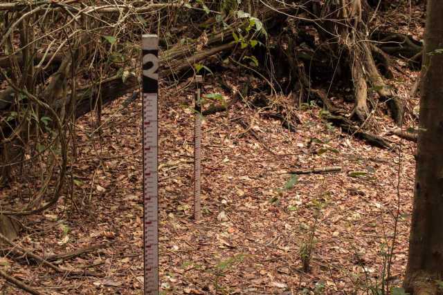 decisão do Ibama retoma disputa no Xingu