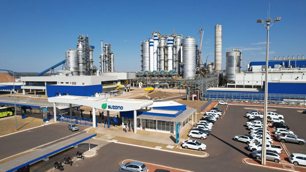 Suzano reverte lucro e tem prejuízo líquido de R$ 6,74 bilhões, no 4º tri | Empresas