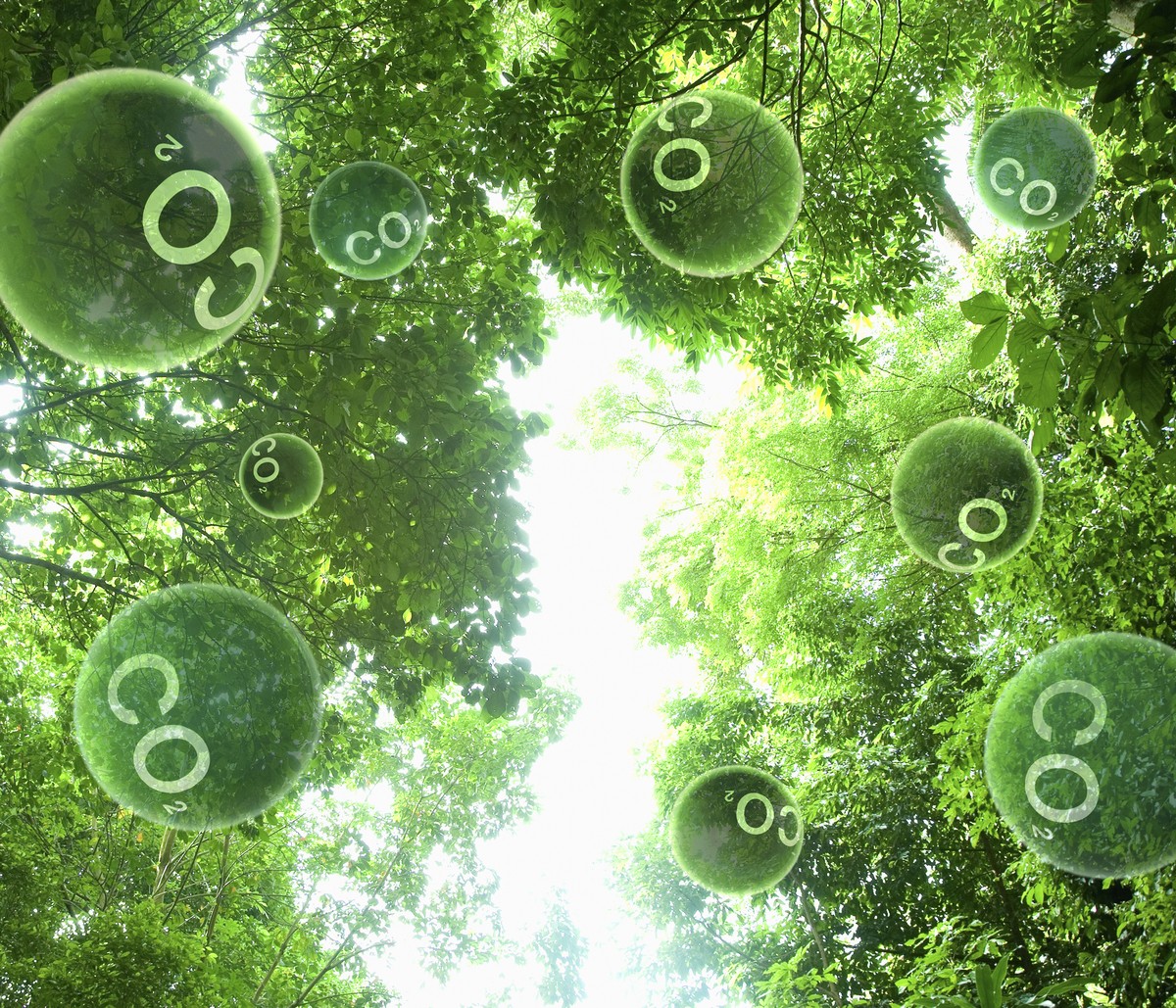 Azul cria nova unidade de negócios para vender créditos de carbono a clientes corporativos | ESG