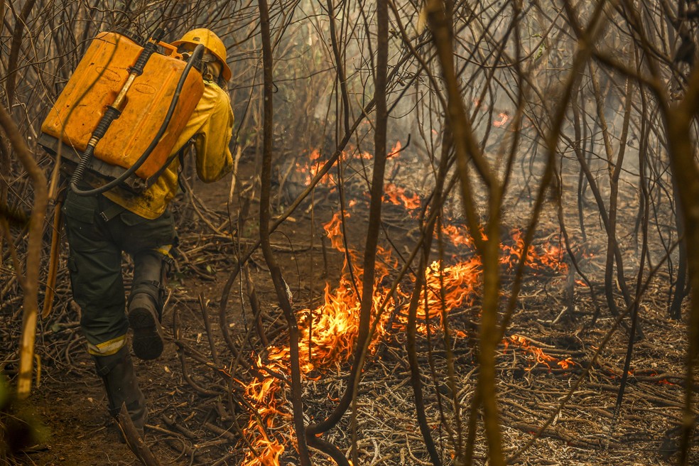 Dino cobra recursos após PF dizer que precisa de R$ 256 milhões para combater incêndios | Brasil