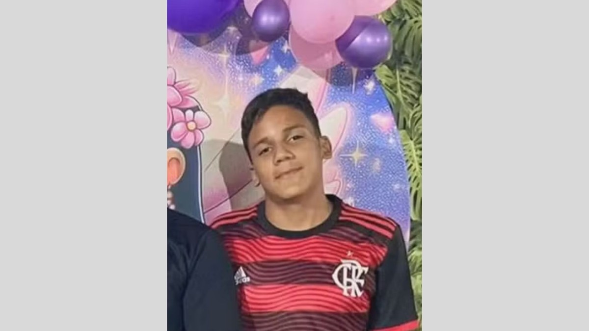 Adolescente de 14 anos fica em coma induzido após levar mais de 4 mil picadas de abelha no DF | Brasília