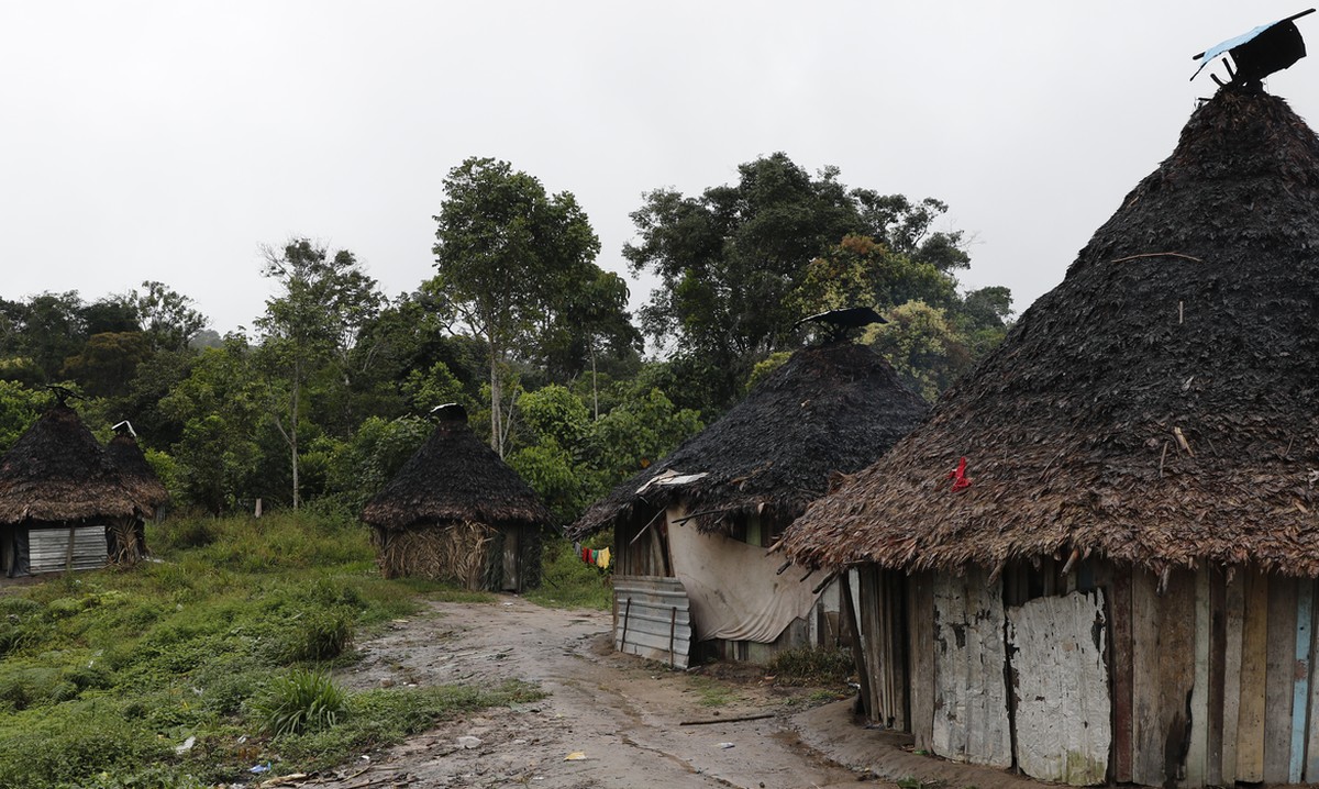 Governo atrela aumento de casos de malária na Terra Yanomami à realização de mais exames | Brasil