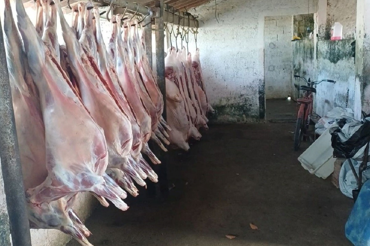 Abatedouro clandestino é flagrado em condições insalubres em União dos Palmares; proprietá