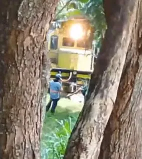 Acidente Trágico em Caucaia: Idoso de 80 Anos Morre Atropelado por Trem