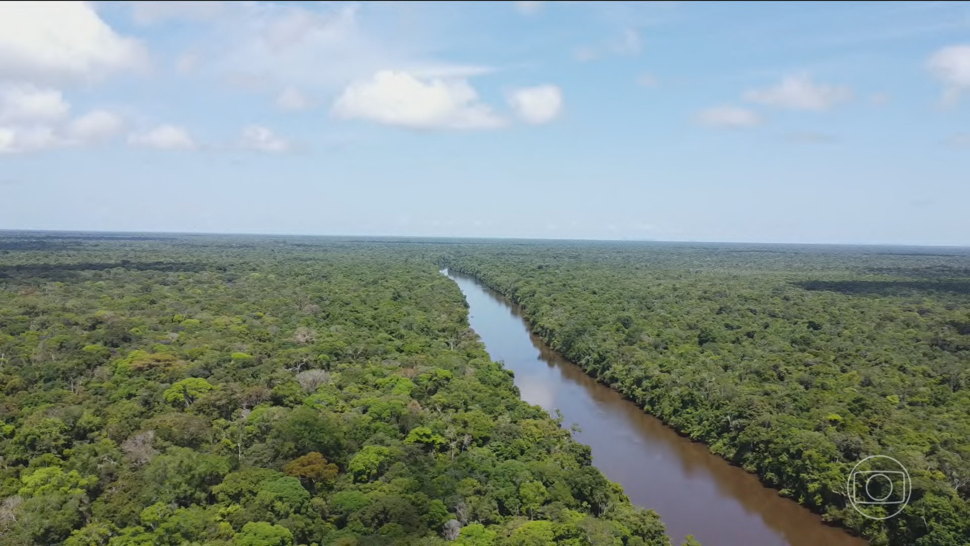 Alertas de desmatamento caem cerca de 9% na Amazônia e no Cerrado em 2025