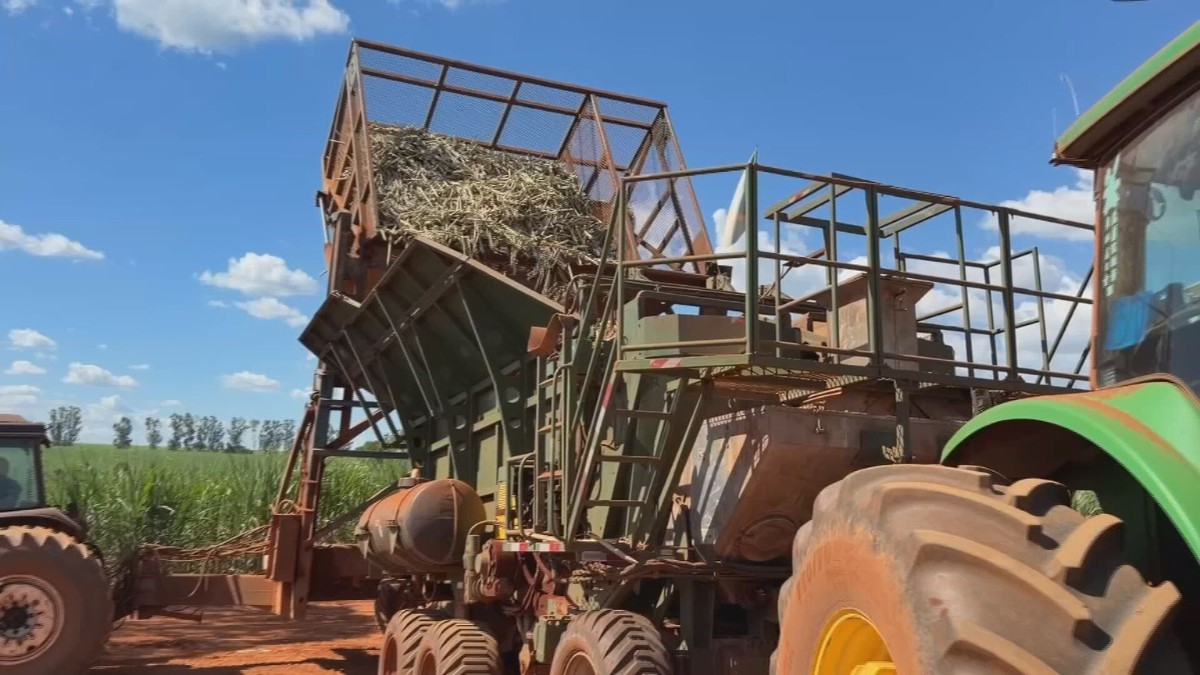 Alta do Diesel: Preços em Fogueira Afectam Produtores de Cana no Interior de SP