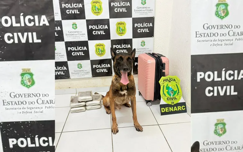 Apreensão de Crack: Polícia Militar do Ceará Encontra Mais de 10kg de Drogas em Ônibus Interestadual