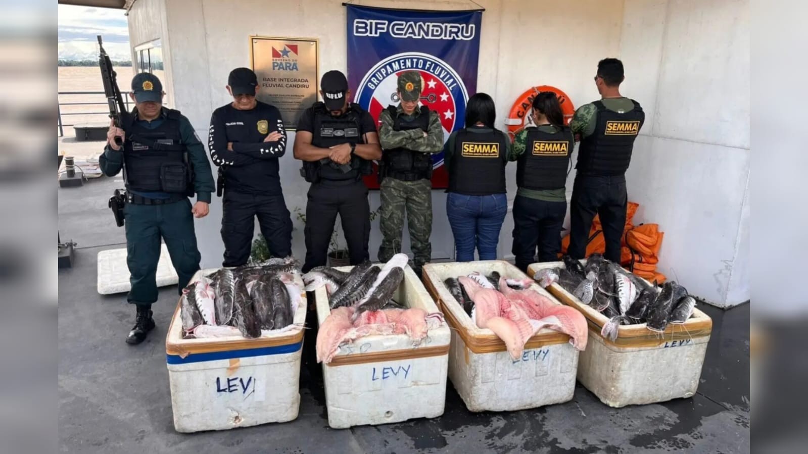 Baixo Amazonas: Agentes Apreendem 605 Quilos de Pescado Irregular em Santarém, Pará